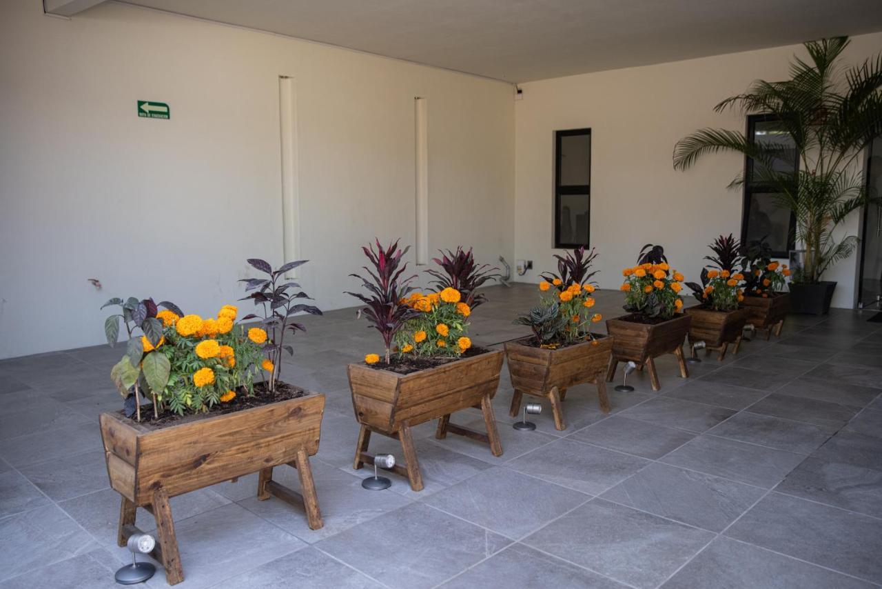 Hotel Casa Jima Agave Tequila Buitenkant foto